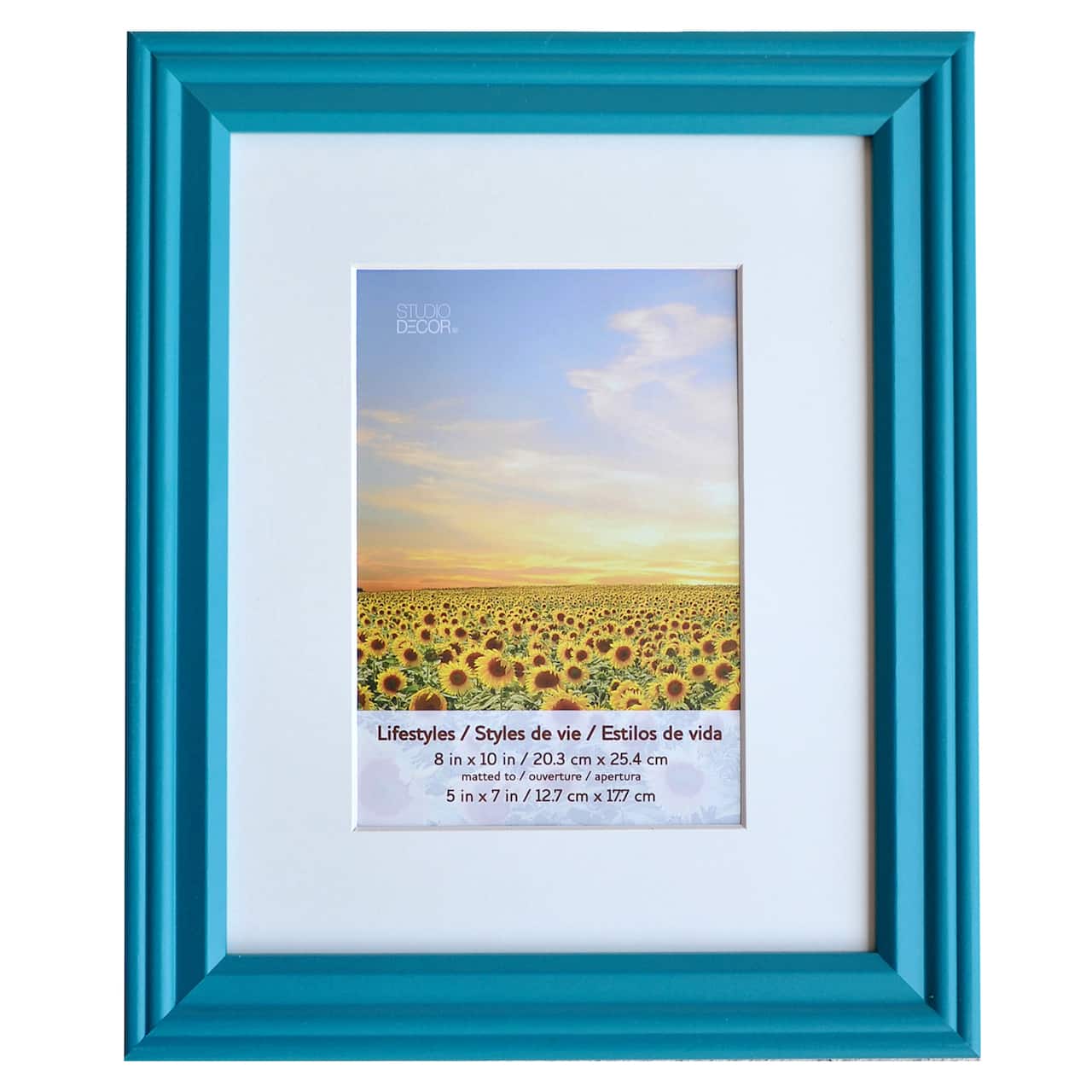 Teal Frame With Mat, Lifestyles&#x2122; By Studio D&#xE9;cor&#xAE;